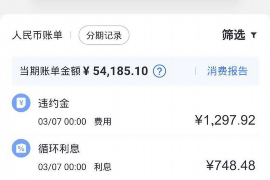 新津专业讨债公司有哪些核心服务？